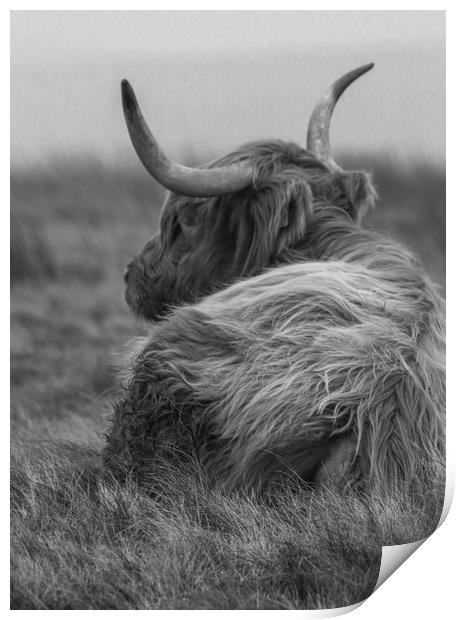 Highland Cow in black and white Print by Chantal Cooper