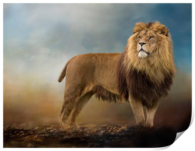 King of the Jungle Print by Chantal Cooper