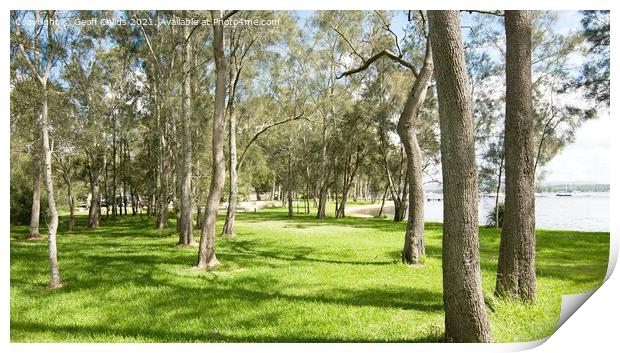 Waterfront parkland with Oak Trees Print by Geoff Childs