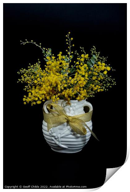 Wattle blossoms in a white ceramic vase on black. Print by Geoff Childs