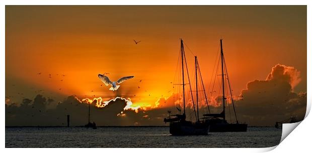 Seagull & Yacht Silhouette at Dawn. Print by Geoff Childs