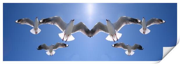 Seagulls Flying Overhead in Blue Sky. Print by Geoff Childs