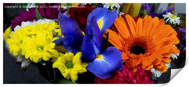 Colourful bunch of mixed flowers. Print by Geoff Childs