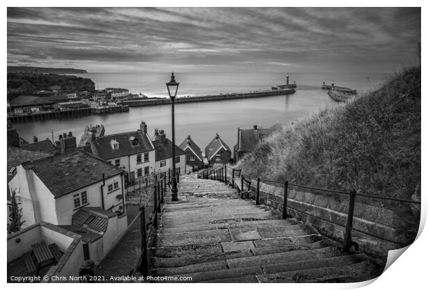 The 199 steps overlooking Whitby Harbour. Print by Chris North