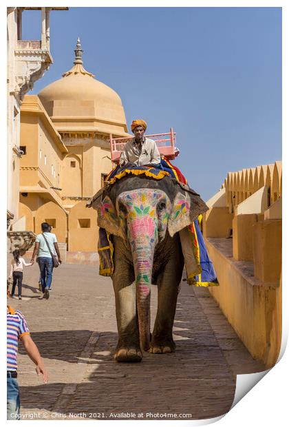 Elephant from the Amber Fort. Print by Chris North