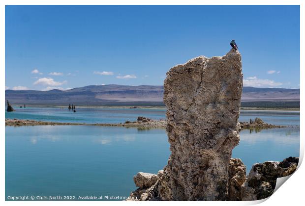 Lava pillow on mono lake. Print by Chris North