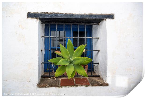 Castella Del Frontera window. Print by Chris North