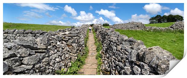 Dry stone walls of Grassington in the Yorkshire Dales. Print by Chris North