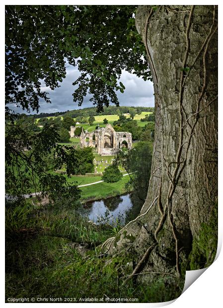 Bolton Abbey, in the heart of the Yorkshire, Dales. Print by Chris North