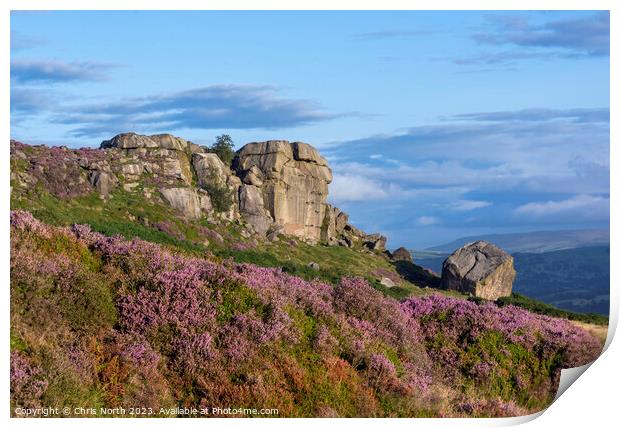 Cow and Calf rocks Print by Chris North