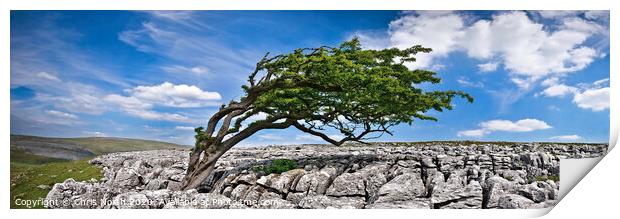 Limestone pavement at Twisleton scar. Print by Chris North