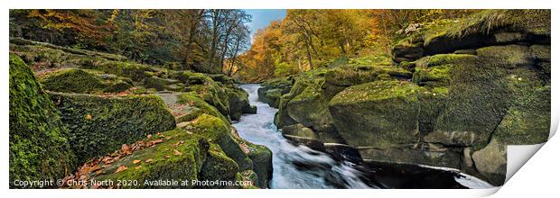 The Strid on the  River Wharfe Print by Chris North