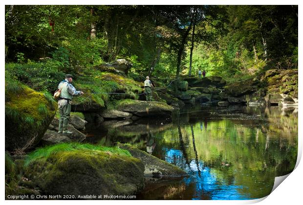 Fly fishing, Bolton Abbey woods, Yorkshire. Print by Chris North