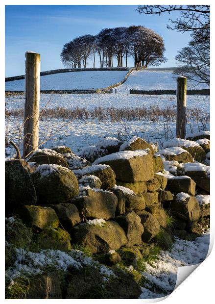 Winter on the Chevin, Otley West Yorkshire. Print by Chris North