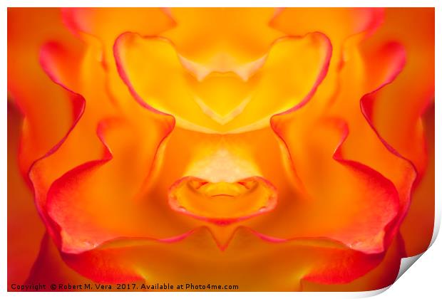 Orange and Yellow Rose Composite Print by Robert M. Vera
