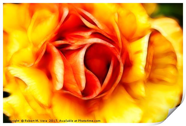 Orange and Yellow Rose Print by Robert M. Vera