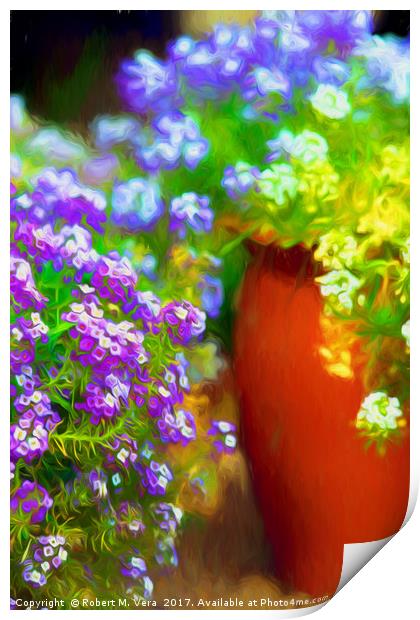 Alyssum in the Garden Print by Robert M. Vera