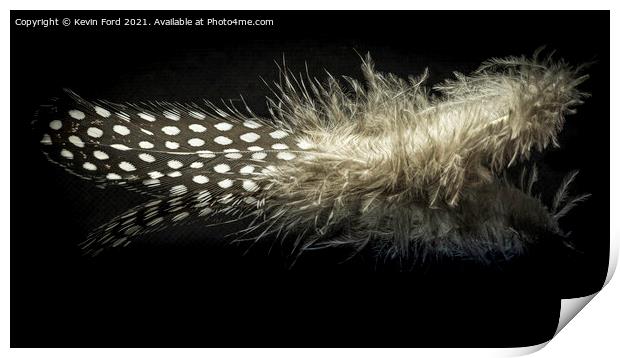 Guinea Fowl Feather Print by Kevin Ford