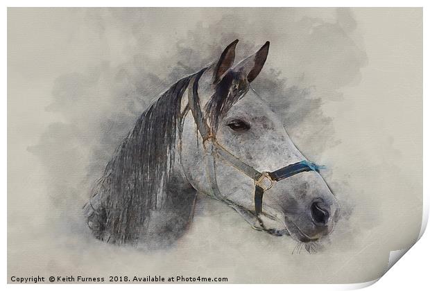 Gray Horse Print by Keith Furness