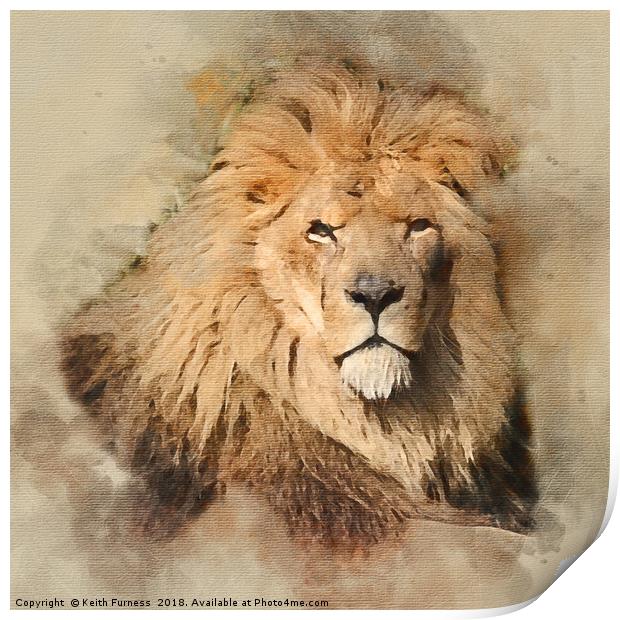 King of the Jungle Print by Keith Furness
