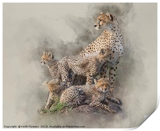 Cheetah Family Print by Keith Furness
