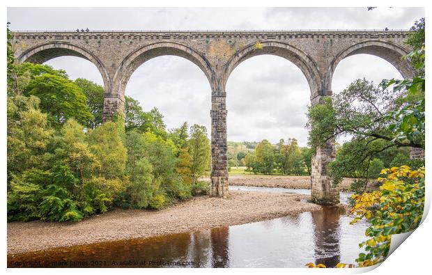 Lambley Viaduct in autumn Print by mark james