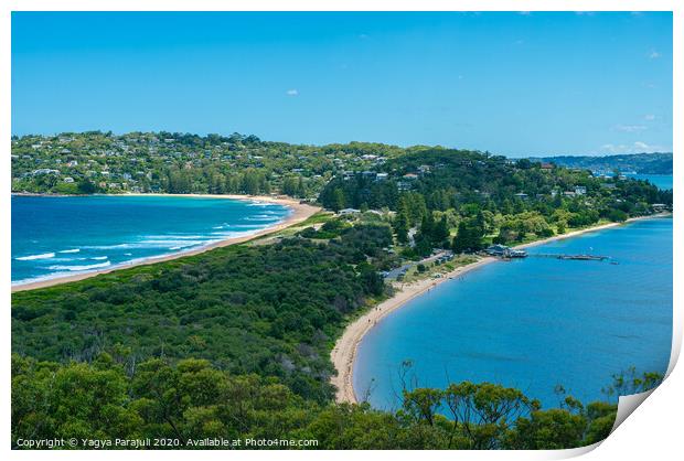 The Palm Beach of Sydney Print by Yagya Parajuli