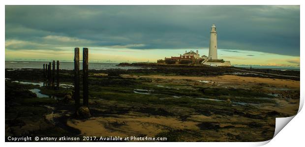 Tynemouth Lighthouse Print by Antony Atkinson