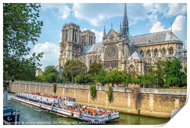 Notre Dame Paris Print by Antony Atkinson