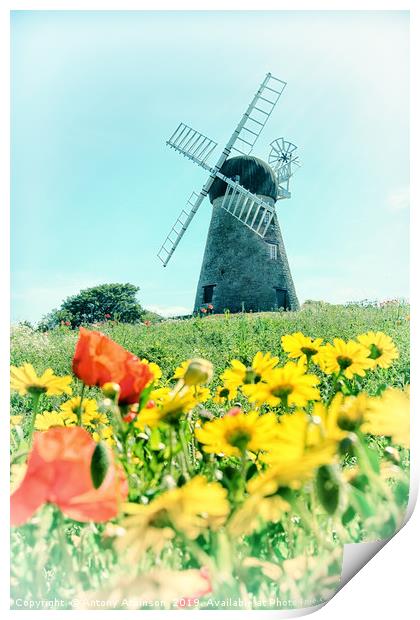 Sunderland Roker Windmill Print by Antony Atkinson