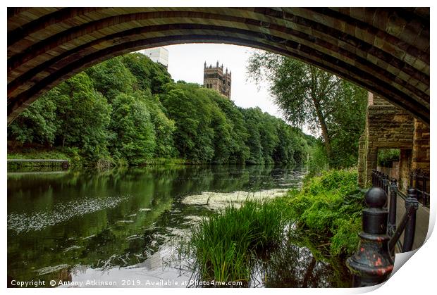 Durham Cathedral Print by Antony Atkinson