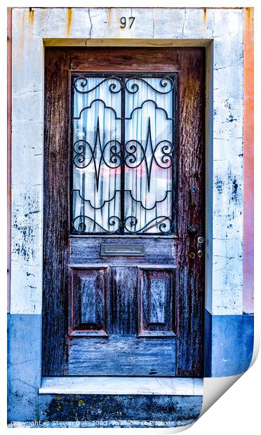 Rustic Aveiro Old Door Print by Steven Dale