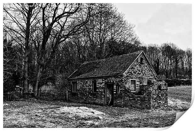 Abandoned farm outbuilding Print by Steven Dale