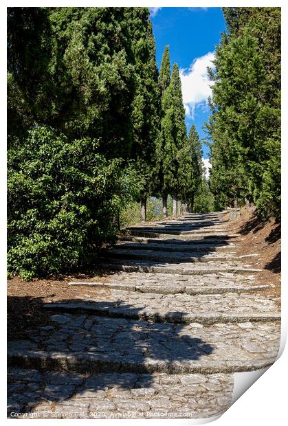 Steps at Cortona, Province of Arezzo, Tuscany, Italy, Print by Steven Dale