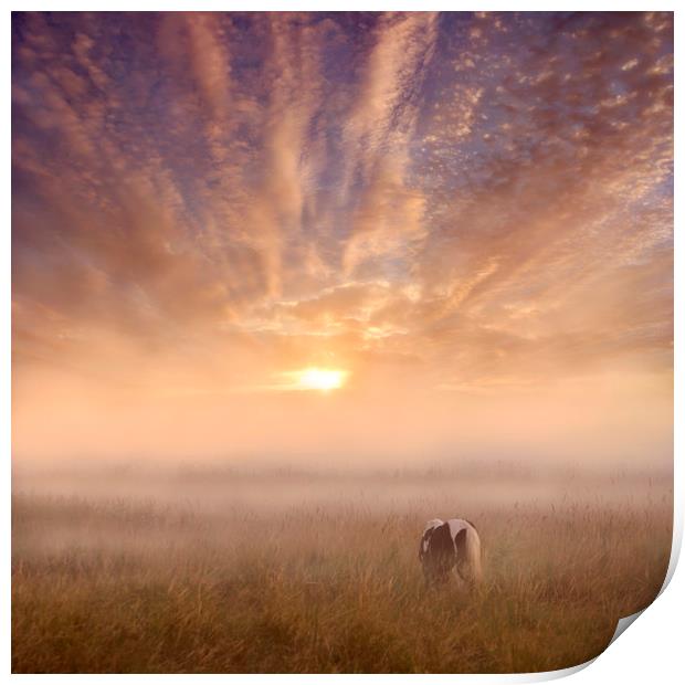 Sunrise over the Marsh Print by Adrian Campfield