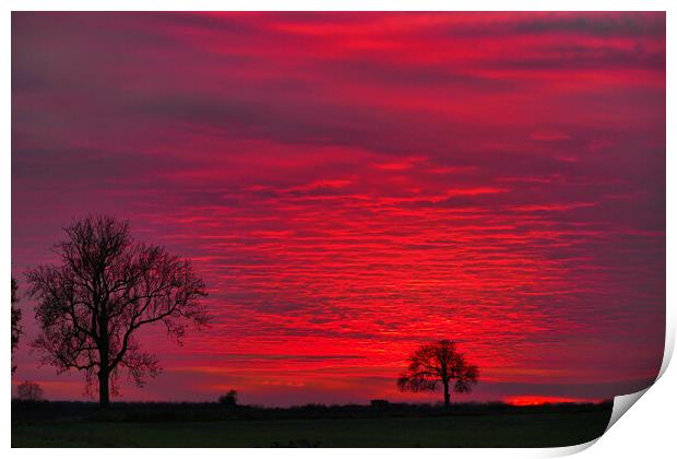 Sky sun Print by Dave Bradley