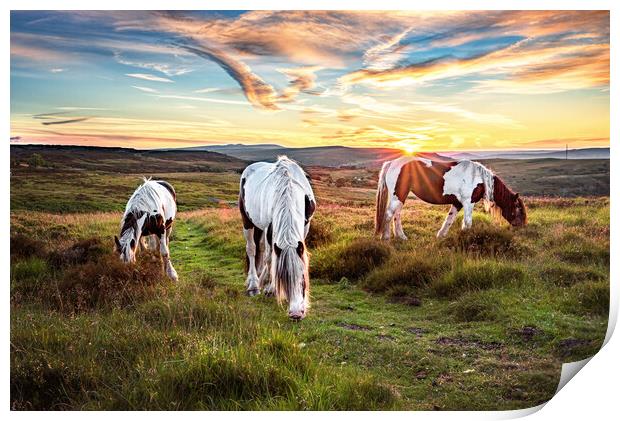 Horses Grazing on the Welsh Hills Print by Karl McCarthy