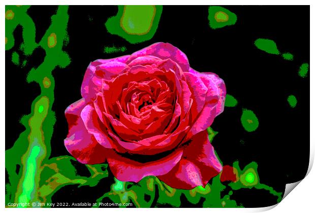 Red Rose  Print by Jim Key