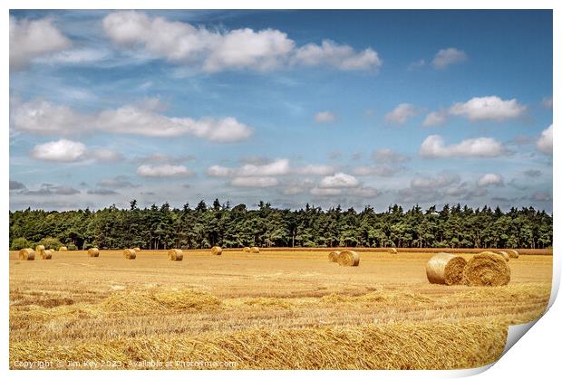 Hay Bales in Norfolk   Print by Jim Key