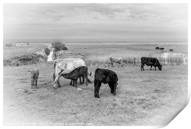 Farming in the Norfolk Marshland Print by Jim Key