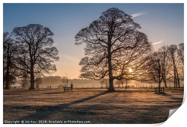 Winter Trees Long Shadows Print by Jim Key