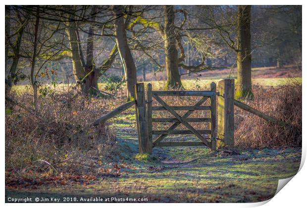 A Gate in the Wood Print by Jim Key