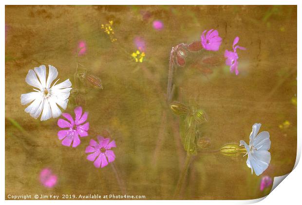 Wildflowers in Abstract Print by Jim Key