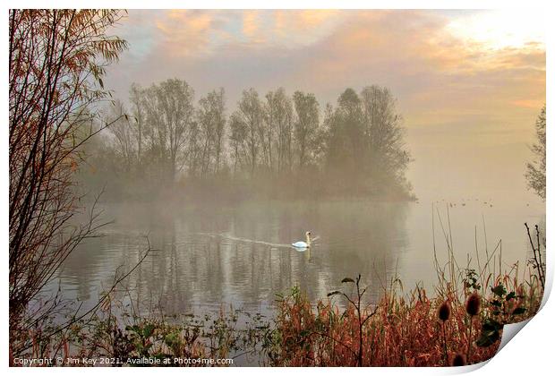 White Swan at Sunrise   Print by Jim Key