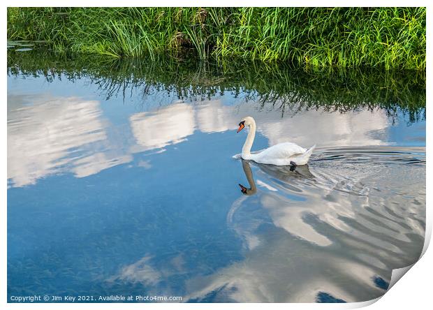 Swan Reflection Print by Jim Key