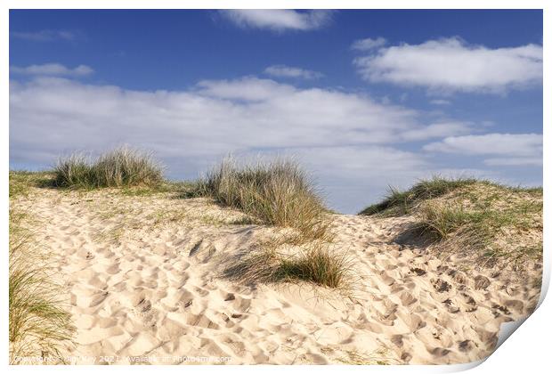 Walberswick Beach Sand Dunes Print by Jim Key