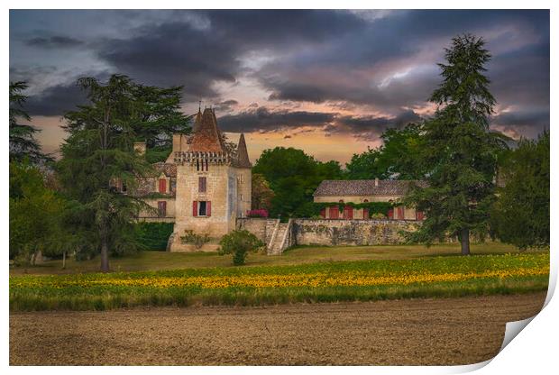 Manoir dit Chateau de Lafaurie Print by Dave Williams