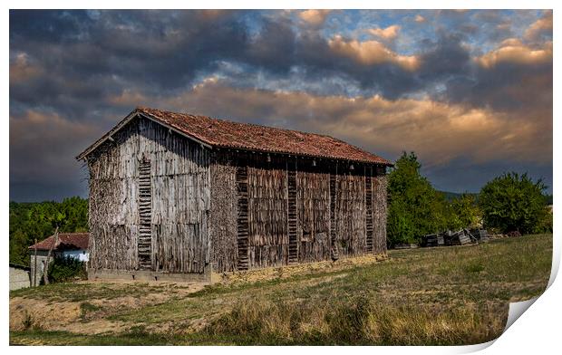 The Old Tobacco Drying Barn Print by Dave Williams