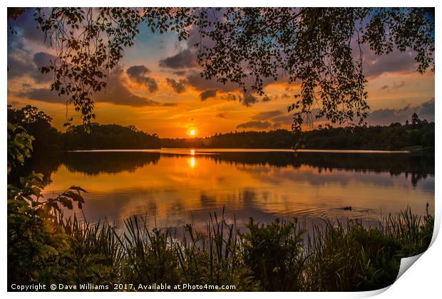Sunset at Virginia Water Lake Print by Dave Williams