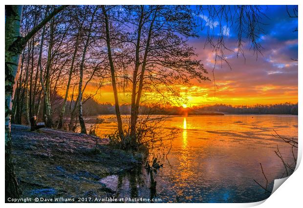 Horseshoe Lake Sunrise      Print by Dave Williams
